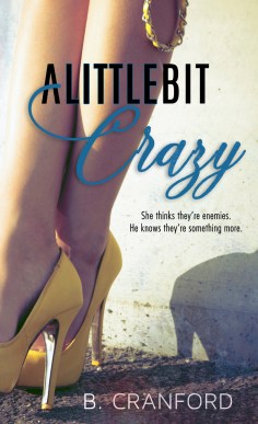 A Little Bit Crazy Ebook Cover
