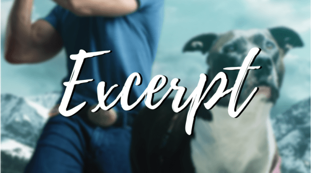 Excerpt Template.png
