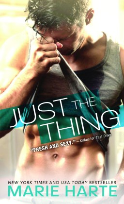 Just the Thing Ebook Cover